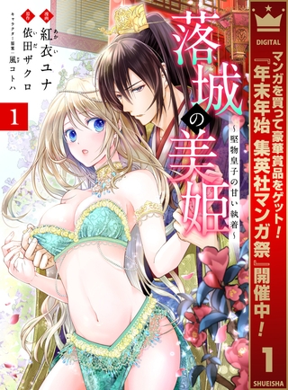 落城の美姫～堅物皇子の甘い執着～【期間限定無料】 1