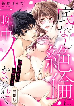 10年ぶりに元カレと。底なし絶倫に一晩中イかされて【特別版】【描き下ろし漫画付き】