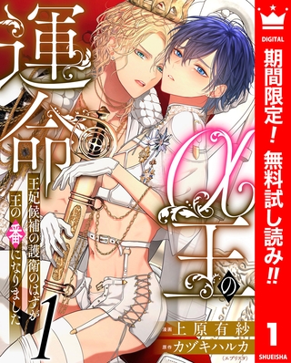 α王の運命～王妃候補の護衛のはずが王の番になりました～【期間限定無料】 1