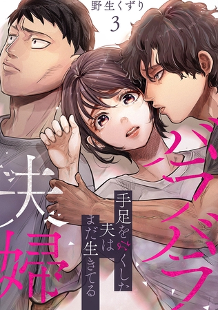 バラバラ夫婦〜手足をなくした夫はまだ生きてる【電子単行本版】３