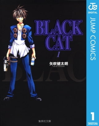 BLACK CAT 12巻パック