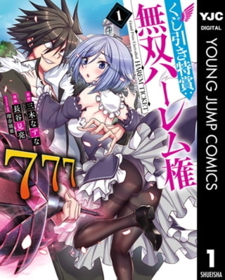 くじ引き特賞：無双ハーレム権 11巻パック