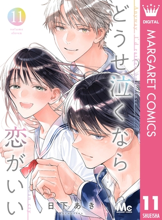 どうせ泣くなら恋がいい 11