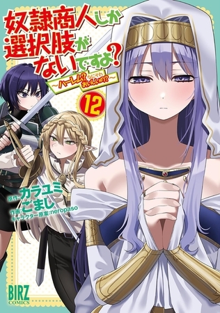 奴隷商人しか選択肢がないですよ？ (12) 〜ハーレム？なにそれおいしいの？〜 【電子限定おまけ付き】