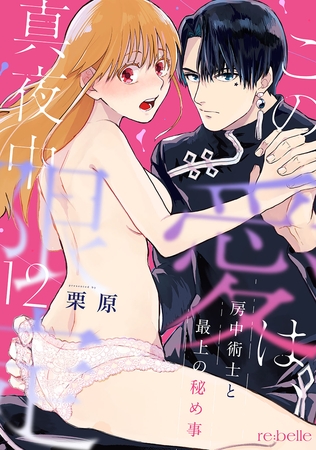 この愛は、真夜中限定～房中術士と最上の秘め事～（12）