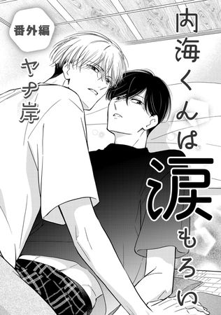 内海くんは涙もろい　番外編