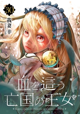 血を這う亡国の王女【分冊版】 30