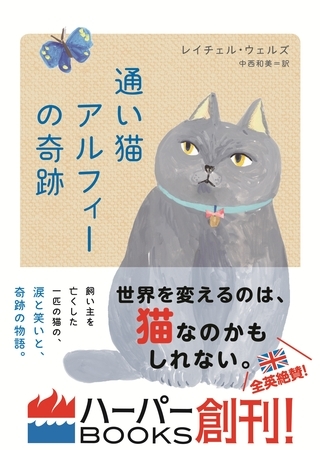 通い猫アルフィーの奇跡