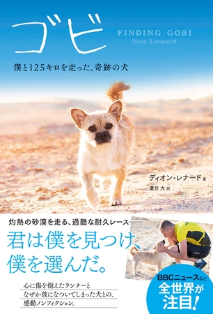 ゴビ　僕と125キロを走った、奇跡の犬
