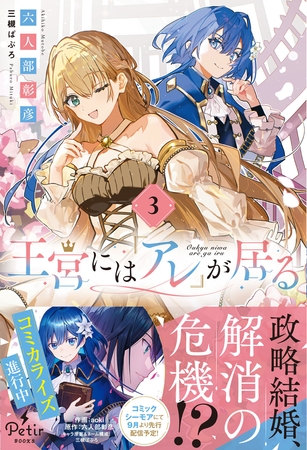 王宮には『アレ』が居る　3【電子限定SS付き】