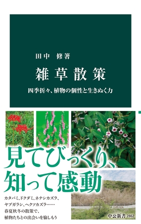 雑草散策　四季折々、植物の個性と生きぬく力