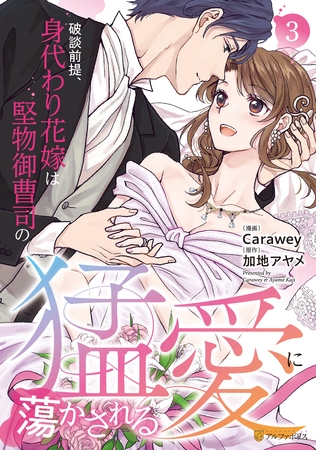 破談前提、身代わり花嫁は堅物御曹司の猛愛に蕩かされる３