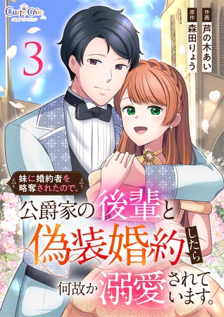 妹に婚約者を略奪されたので、公爵家の後輩と偽装婚約したら何故か溺愛されています。【合冊版】（3）
