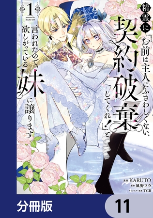 精霊に「お前は主人にふさわしくない、契約破棄してくれ！」と言われたので、欲しがっている妹に譲ります【分冊版】　11