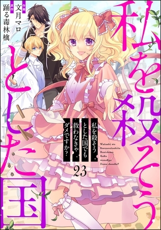 私を殺そうとした国でも救わなきゃダメですか？（分冊版）　【第23話】