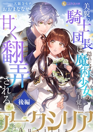 アークシリア～美貌の騎士団長は隠れ天才魔術少女の無自覚に甘く翻弄される～【後編】