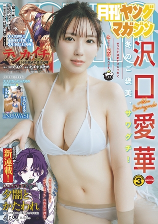 月刊ヤングマガジン 2026年No.3 [2026年2月19日発売]