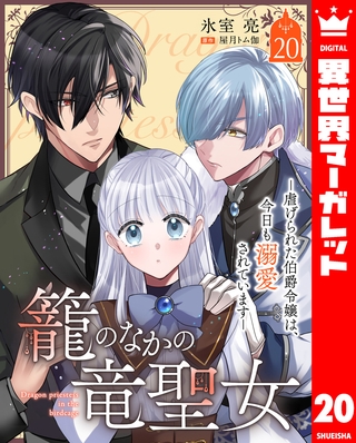 籠のなかの竜聖女 ―虐げられた伯爵令嬢は、今日も溺愛されています― 20