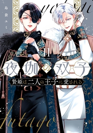 夜伽の双子―贄姫は二人の王子に愛される― 11