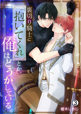 裏切り騎士に「抱いてくれ」とか、俺はどうかしている(3)