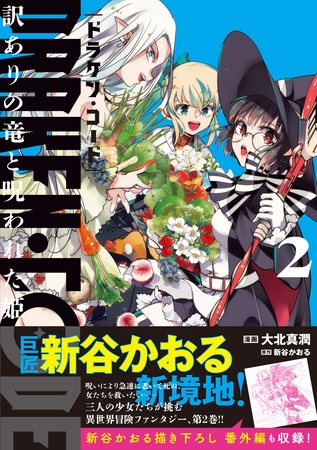 DRAKEN・CODE　訳ありの竜と呪われた姫（コミック）【電子版特典付】２
