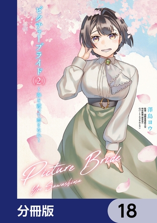 ピクチャーブライド【分冊版】　18