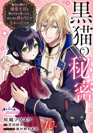 黒猫の秘密～魔法が解けて溺愛生活も終わりかと思ったら、ぜんぜん終わりじゃなかったです～１０