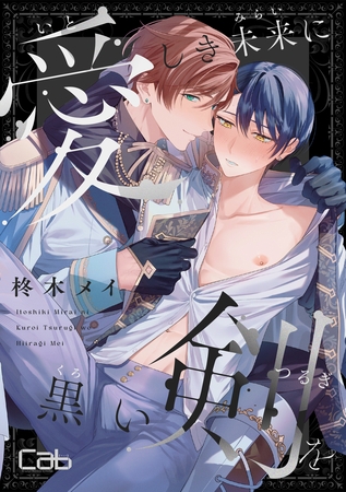 【期間限定　無料お試し版】愛しき未来に黒い剣を1