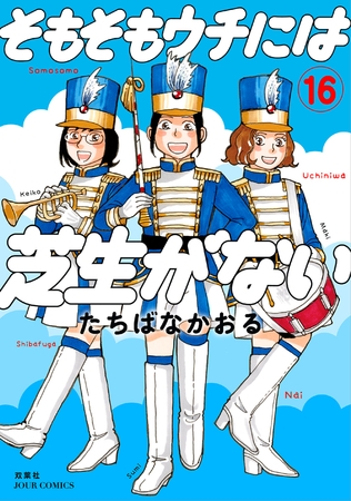 そもそもウチには芝生がない ： 16