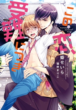 この恋、受難につき