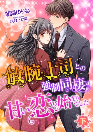 敏腕上司との強○同棲は甘い恋の始まりでした (下)