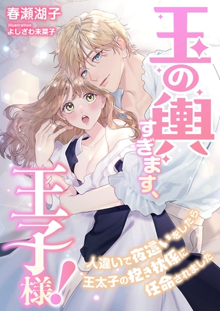 玉の輿すぎます、王子様！ ～人違いで夜○いをしたら王太子の抱き枕係に任命されました～