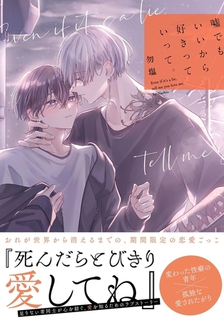 嘘でもいいから好きっていって。 【電子限定おまけ付き】