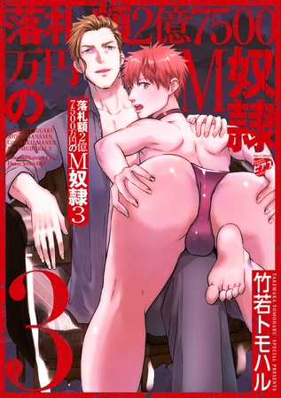落札額2億7500万円のM奴○ 3【全年齢コミックス版】