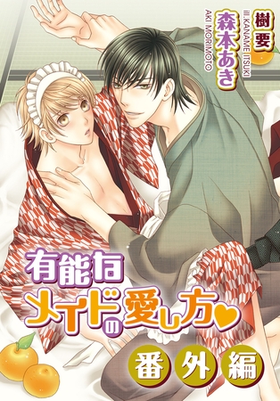 有能なメイドの愛し方・番外編