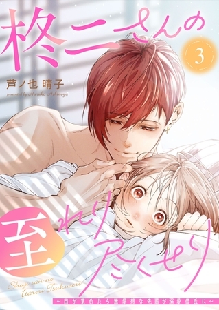 柊二さんの至れり尽くせり ～目が覚めたら無愛想な先輩が溺愛彼氏に～【単話版】（３）