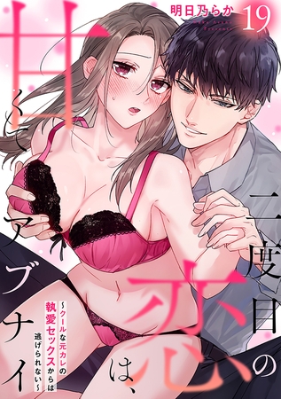 二度目の恋は、甘くてアブナイ～クールな元カレの執愛セックスからは逃げられない～(19)