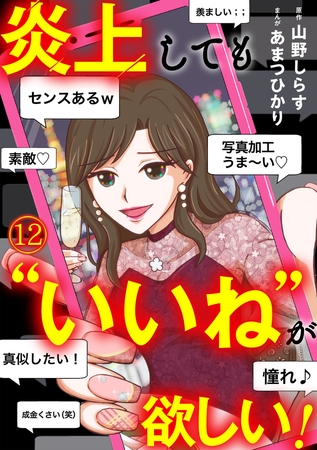 炎上しても“いいね”が欲しい！(12)