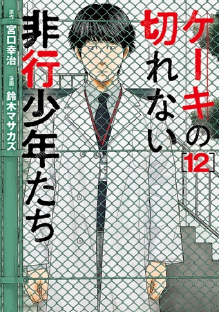 ケーキの切れない非行少年たち　12巻