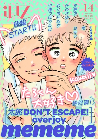 iHZ［アイハーツ］14