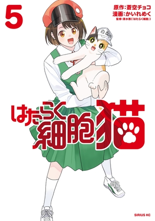 はたらく細胞　猫（５）
