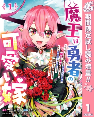 魔王は勇者の可愛い嫁 ～パーティの美少女4人から裏切られた勇者、魔王と幸せに暮らします。4人が勇者殺しの大罪人として世界中から非難されてる？まあ因果応報かなぁ～【期間限定試し読み増量】 1