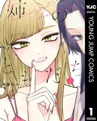 姉のともだち 3巻パック