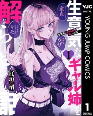 生意気なギャル姉を解らせる話 3巻パック