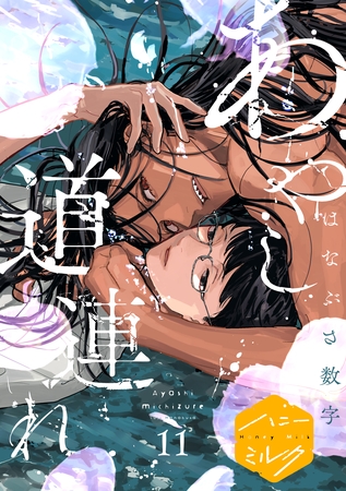 あやし道連れ　分冊版（１１）
