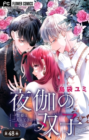 夜伽の双子―贄姫は二人の王子に愛される―【マイクロ】 48