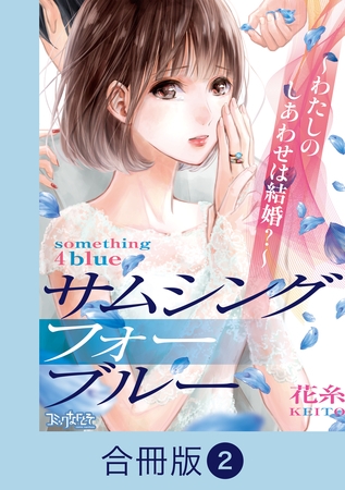 サムシングフォーブルー～わたしのしあわせは結婚？～【合冊版】（2）