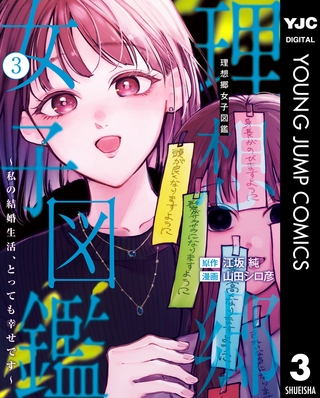 理想郷女子図鑑～私の結婚生活、とっても幸せです～ 3
