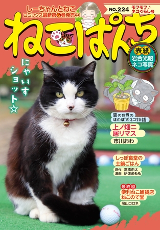 ねこぱんち No.224 モフモフ♪ネコぐらし号