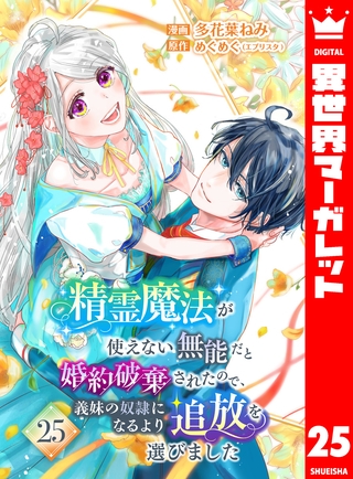 精霊魔法が使えない無能だと婚約破棄されたので、義妹の奴隷になるより追放を選びました 25